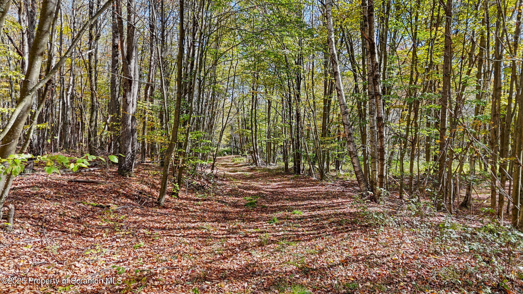 Lake Roy Road New Milford, PA 18834 - Photo 10 of 28 7-web-or-mls-DJI_20251009133138_0035_D