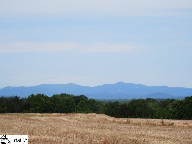 161 Rices Creek Road Liberty, SC 29657 - Photo 4 of 36