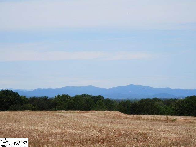 161 Rices Creek Road Liberty, SC 29657 - Photo 36 of 36