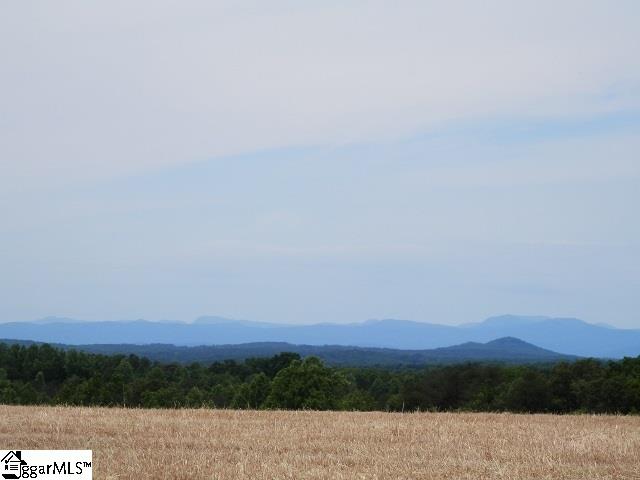 161 Rices Creek Road Liberty, SC 29657 - Photo 5 of 36