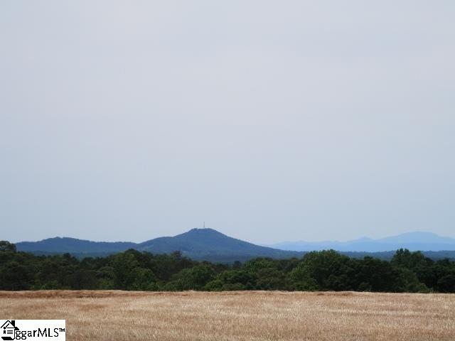 161 Rices Creek Road Liberty, SC 29657 - Photo 6 of 36
