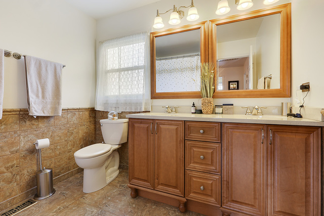 3490 Ronald Road Crete, IL 60417 - Photo 23 of 25 a bathroom with a sink a toilet and mirror