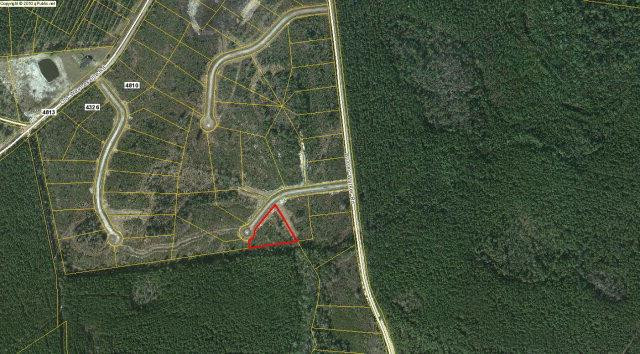 Lot 46 Jeremiah Road Waynesville, GA 31566 - Photo 1 of 1 Gallery Image 1