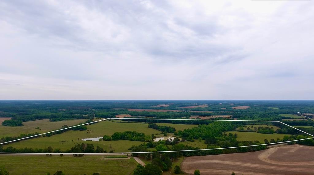 0 County Road 661 Samson, AL 36477 - Photo 1 of 11