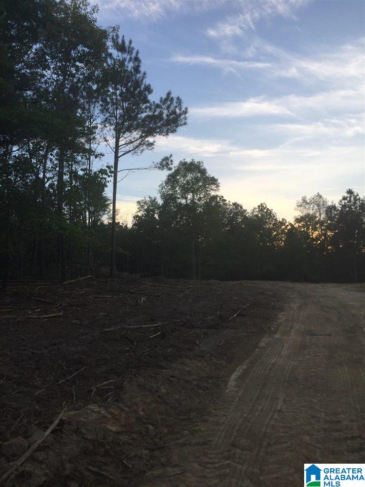 1009 Deaver Walker Road, Unit 1009 Trafford, AL 35172 - Photo 4 of 4