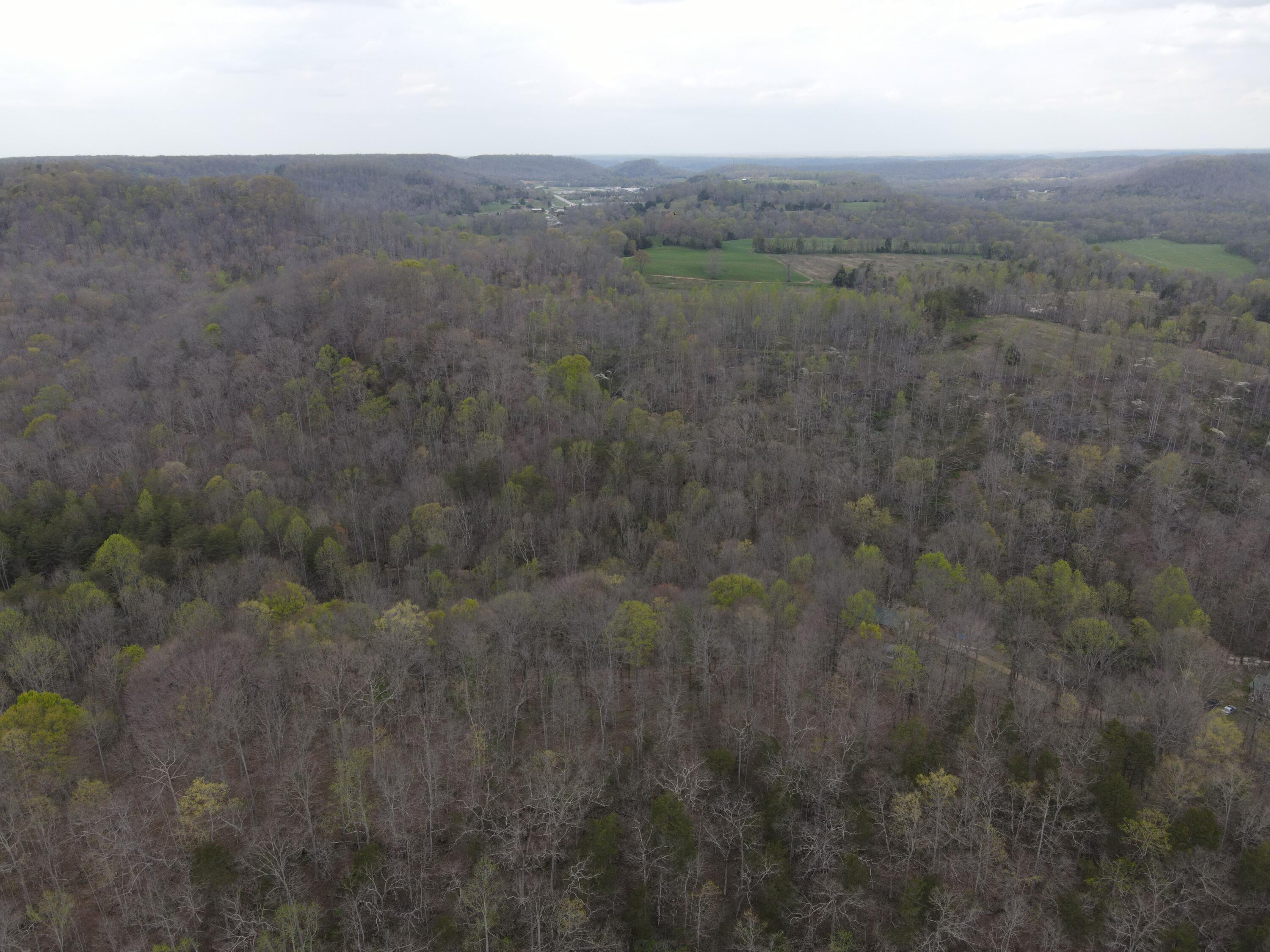 667 Troutstream Road Dunnville, KY 42528 - Photo 63 of 83 Goose Creek Property vol. 2 (50)