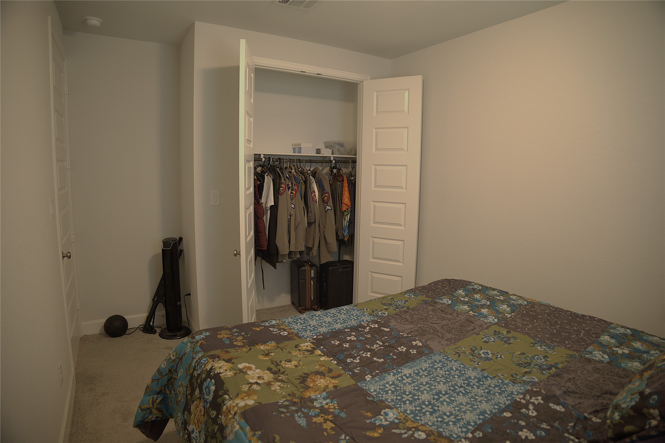 284 Kimble Creek Loop Kyle, TX 78640 - Photo 11 of 37 Bedroom with carpet flooring and a walk in closet