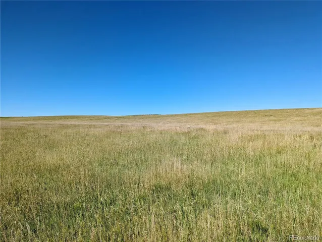 a view of beach and ocean
