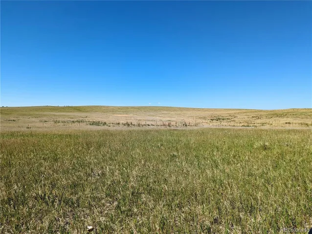 a view of beach and ocean