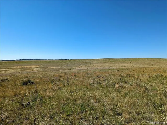 a view of an ocean from a yard