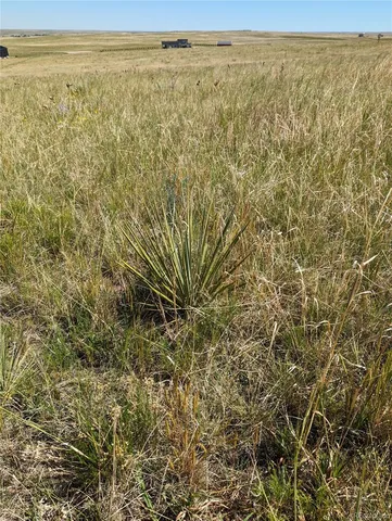 $235,000 | 9 Quietude Lane, Kiowa, CO 80117