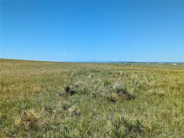 a view of an ocean from a yard