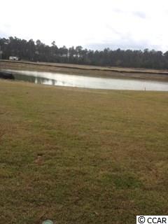 108 Splendor Circle Murrells Inlet, SC 29576 - Photo 6 of 19 Gallery Image 6