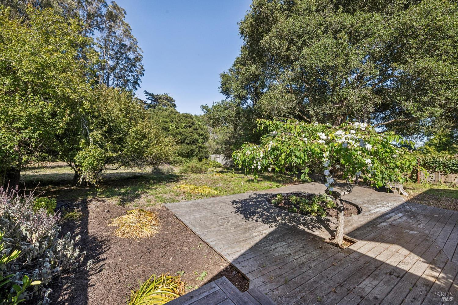 5 Lauff Ranch Road Bolinas, CA 94924 - Photo 42 of 92