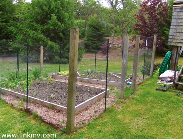 84 Pennywise Path Edgartown, MA 02539 - Photo 14 of 29 a view of a park