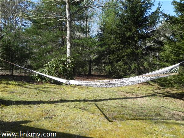 84 Pennywise Path Edgartown, MA 02539 - Photo 6 of 29 a view of swimming pool with an outdoor seating