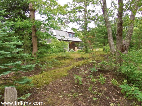 84 Pennywise Path Edgartown, MA 02539 - Photo 9 of 29 a view of a green yard with large trees