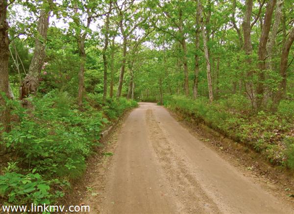 84 Pennywise Path Edgartown, MA 02539 - Photo 10 of 29 a view of a road with trees in the background