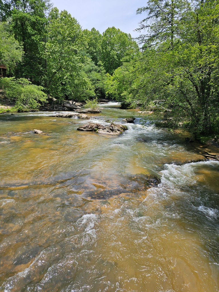 175 Misty Hollow Road Ellijay, GA 30536 - Photo 22 of 24 Gallery Image 22