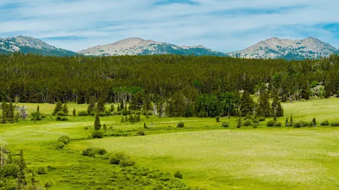 $5,750,000 | Hazelton Road, Buffalo, WY 82834