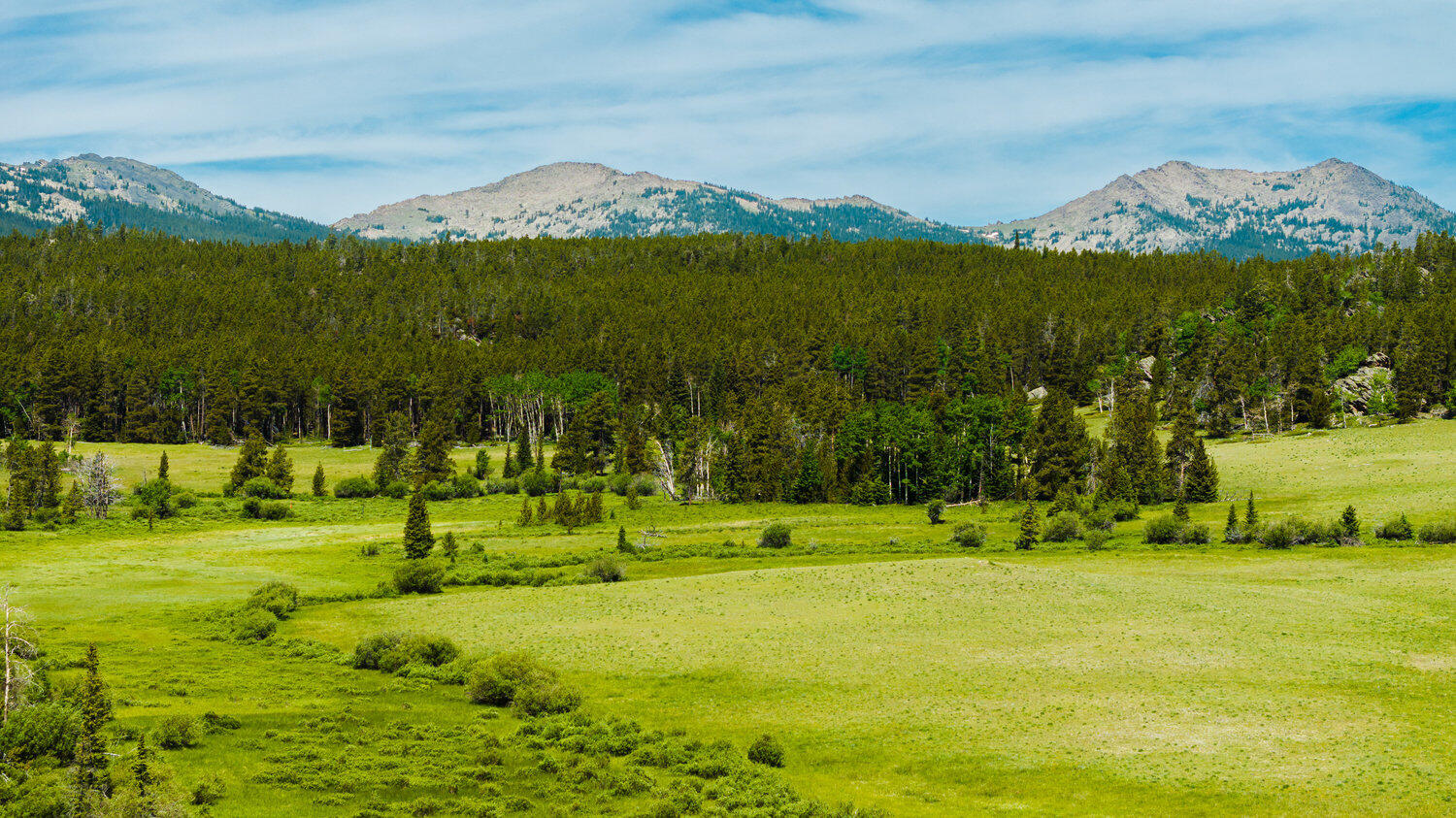 Hazelton Road Buffalo, WY 82834 - Photo 41 of 79 041_dji_20250628105727_0569_d_905