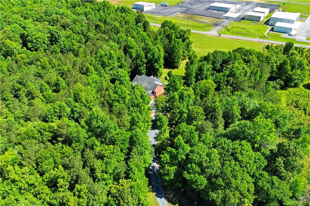 310 Gaines Road Southeast Dalton, GA 30721 - Photo 50 of 53 a view of a yard with plants