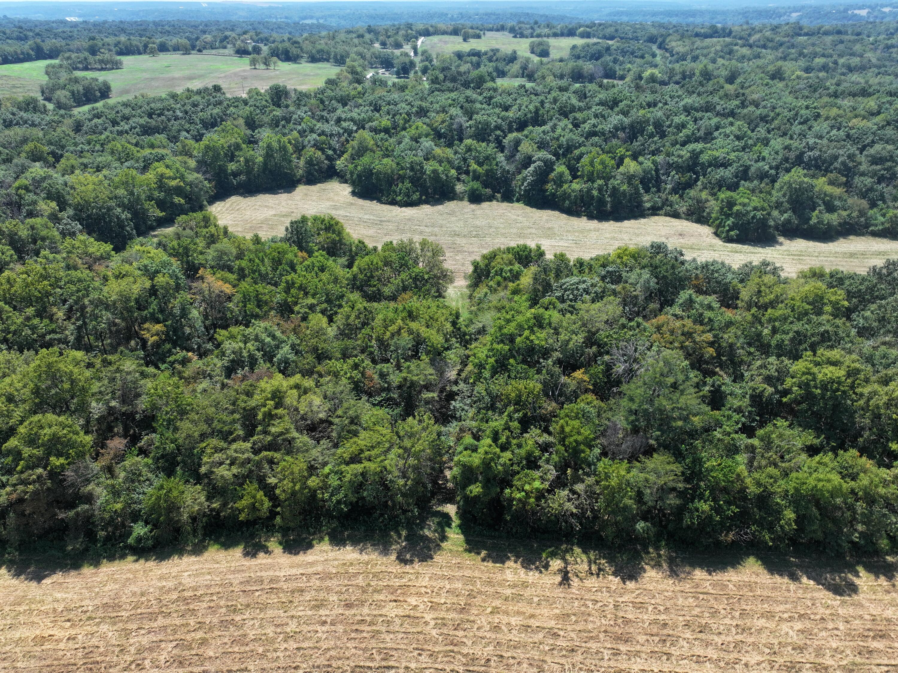 B South 140th Road Morrisville, MO 65710 - Photo 24 of 27 Morrisville 24
