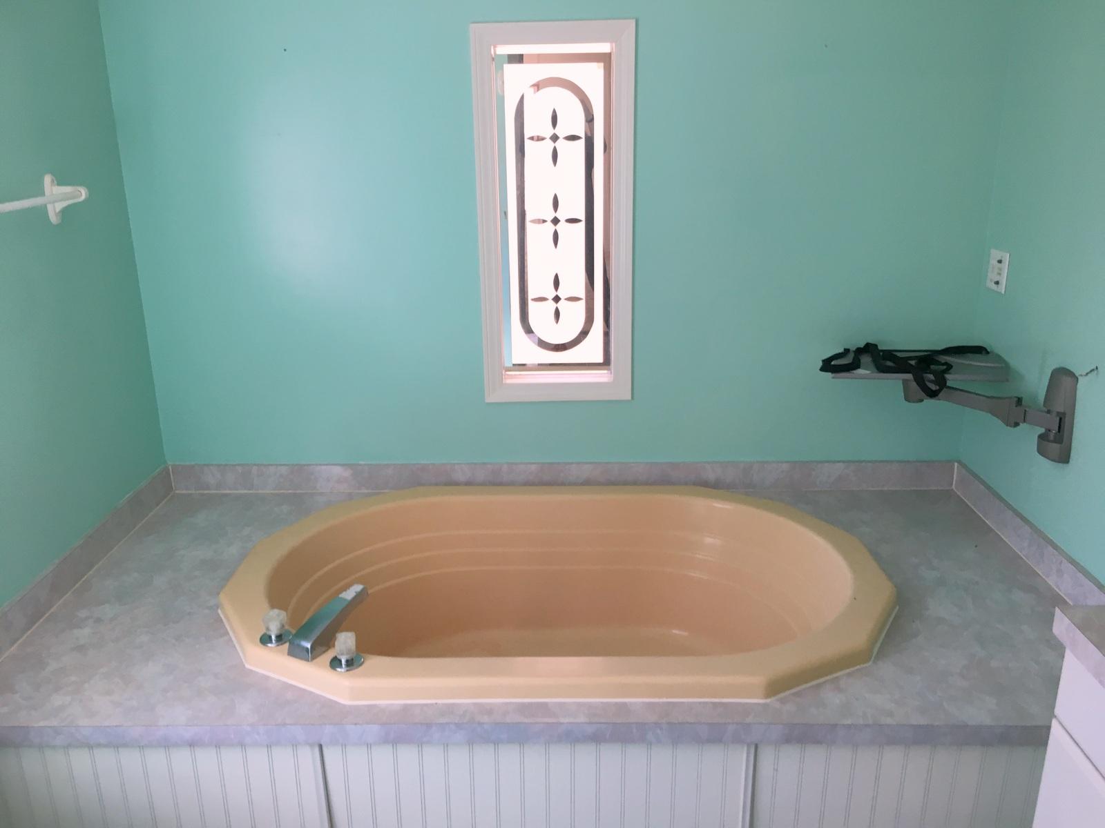 882 Don Graff Road Freeport, FL 32439 - Photo 9 of 22 a bath tub sitting in a bathroom