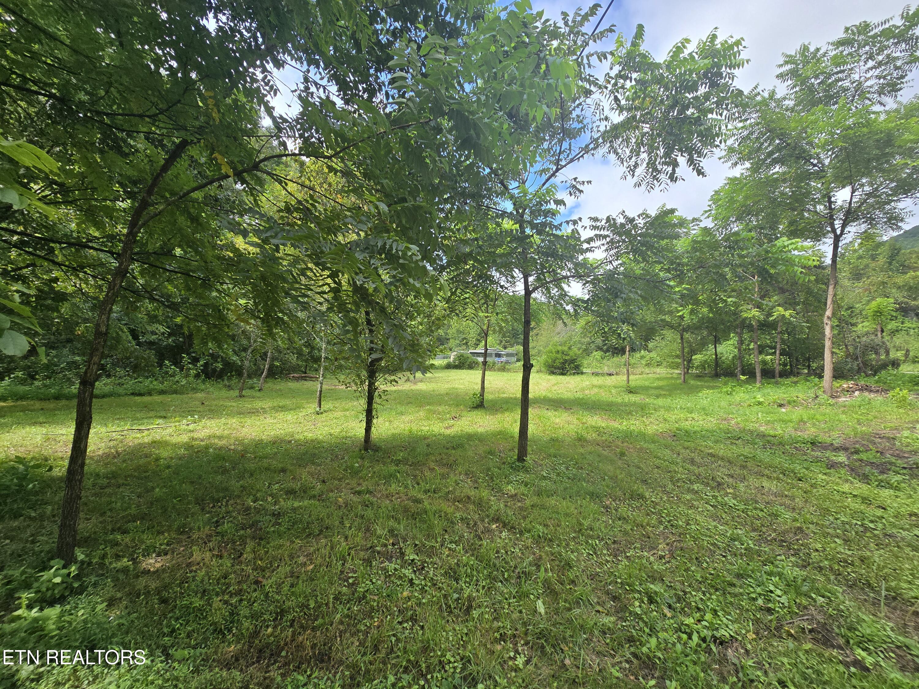 0 Valley Spring Road Rose Hill, VA 24281 - Photo 12 of 17 1000036488