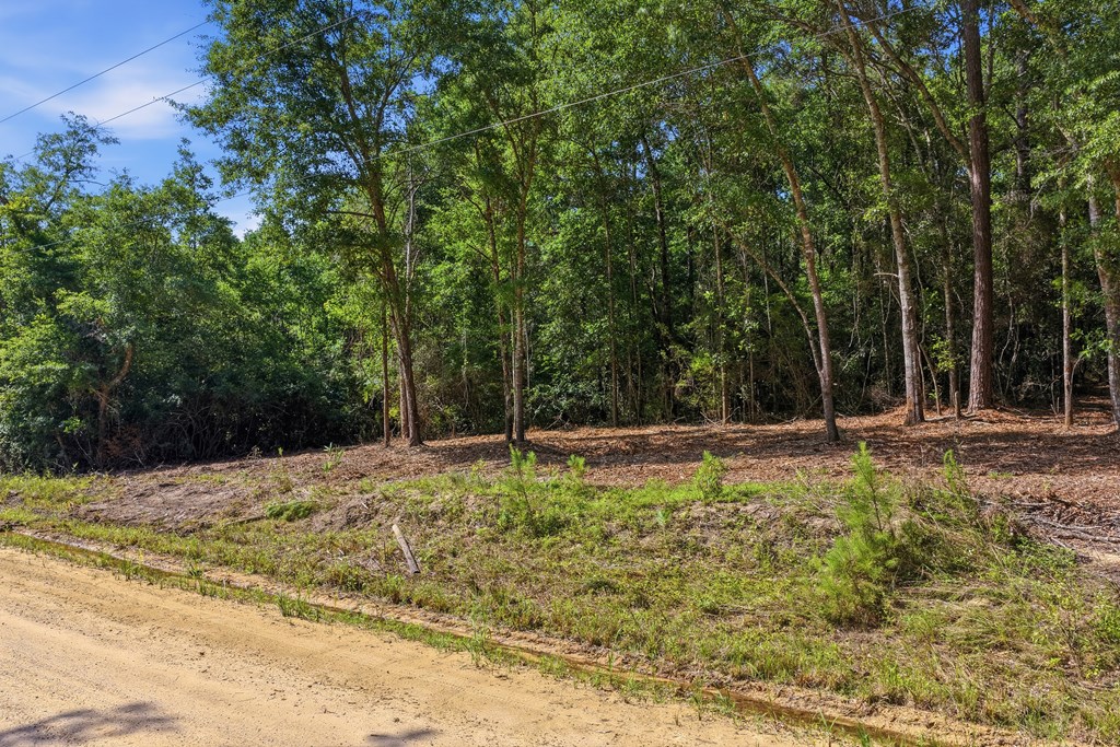 Lot #1 Crosby Clark Road Opp, AL 36467 - Photo 3 of 6