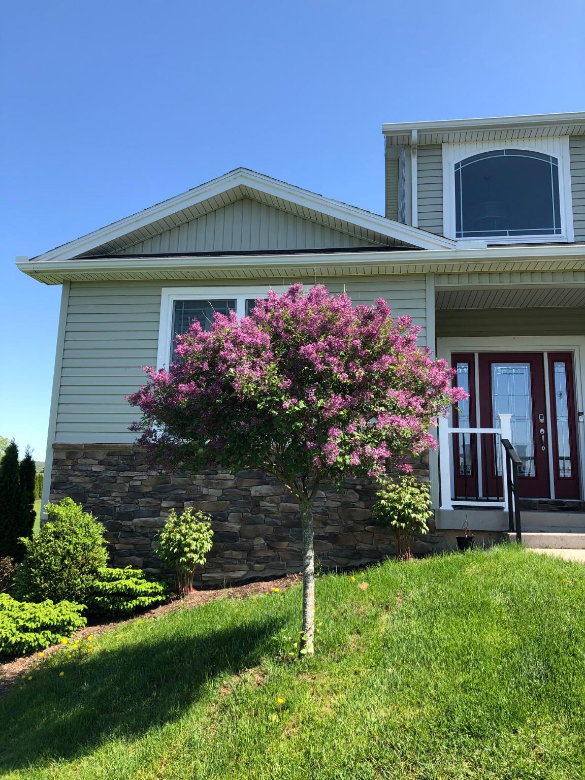 218 Pepper Ridge Drive Spring Mills, PA 16875 - Photo 93 of 93 Seasonal Photos from Seller