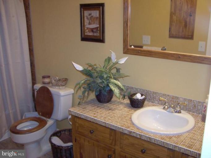 1024 Kinlock Road Inwood, WV 25428 - Photo 10 of 13 Master Bath