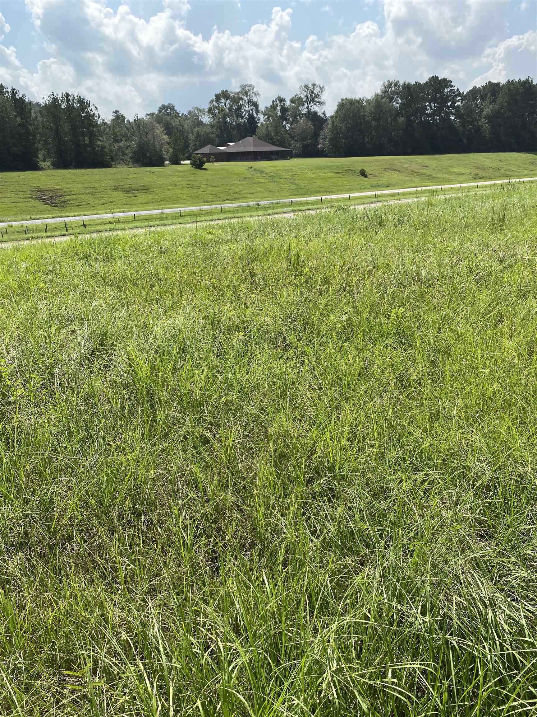 -watson Watson Kline Road Silsbee, TX 77656 - Photo 2 of 2