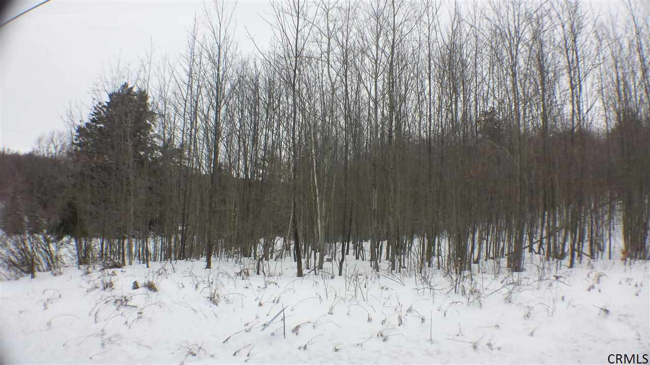 291 Eminence Road Summit, NY 12175 - Photo 3 of 7 Photo 3