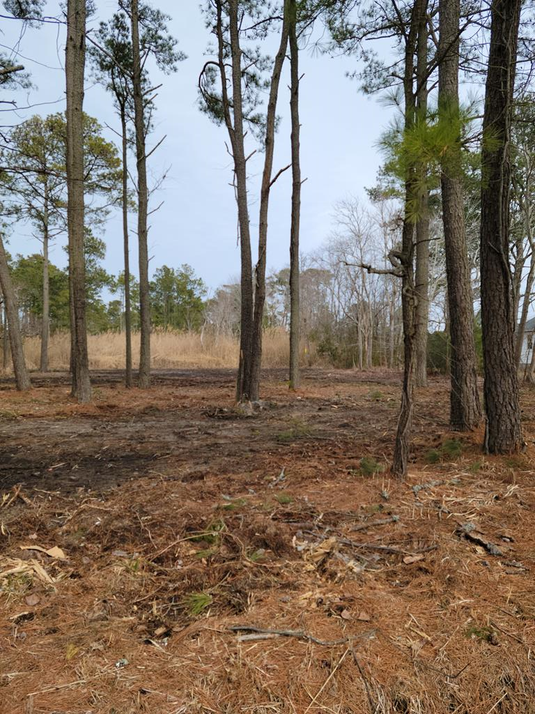 Lot 16 Wayne Road, Unit 16A Chincoteague Island, VA 23336 - Photo 1 of 4