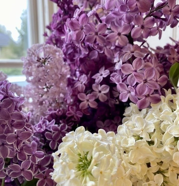 101 Holt Road Andover, MA 01810 - Photo 31 of 38 a close up of a flowers