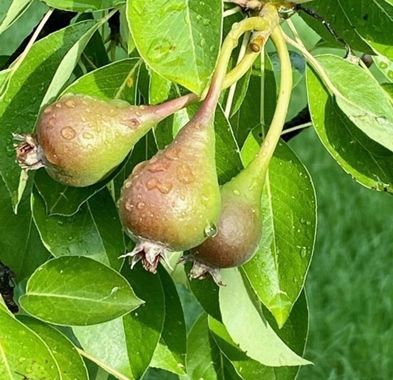 101 Holt Road Andover, MA 01810 - Photo 33 of 38