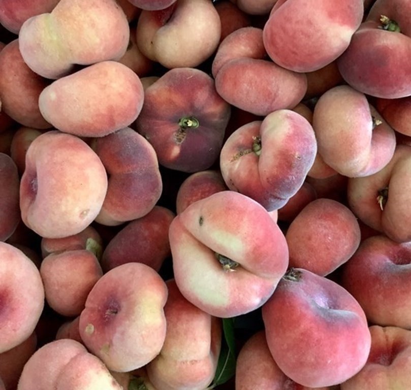 101 Holt Road Andover, MA 01810 - Photo 34 of 38