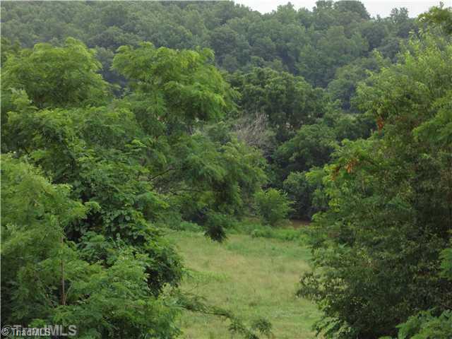 424 Zimmerman Road Advance, NC 27006 - Photo 5 of 7 Land/Lot.