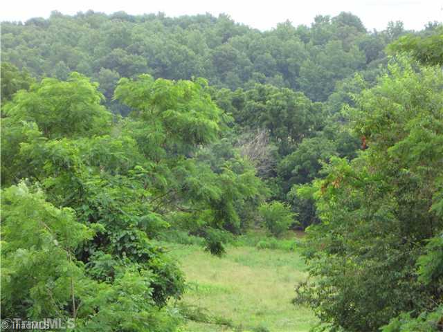 424 Zimmerman Road Advance, NC 27006 - Photo 6 of 7 Land/Lot.