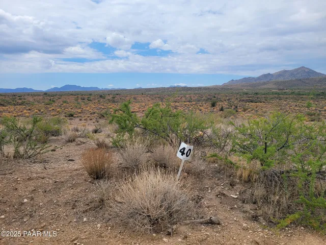 a view of a field with an ocean