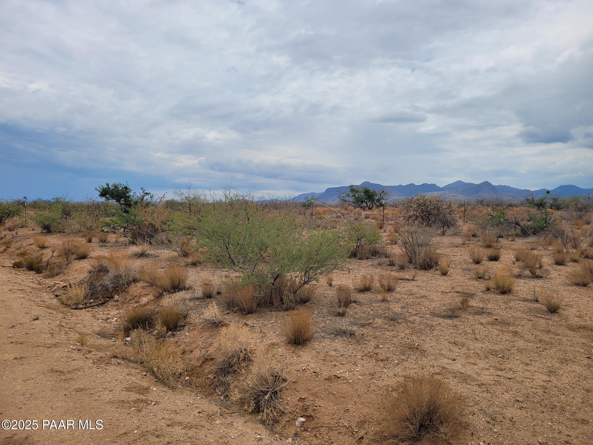 40-41 West Traveler Way Congress, AZ 85332 - Photo 10 of 11 a view of a bunch of trees in all around