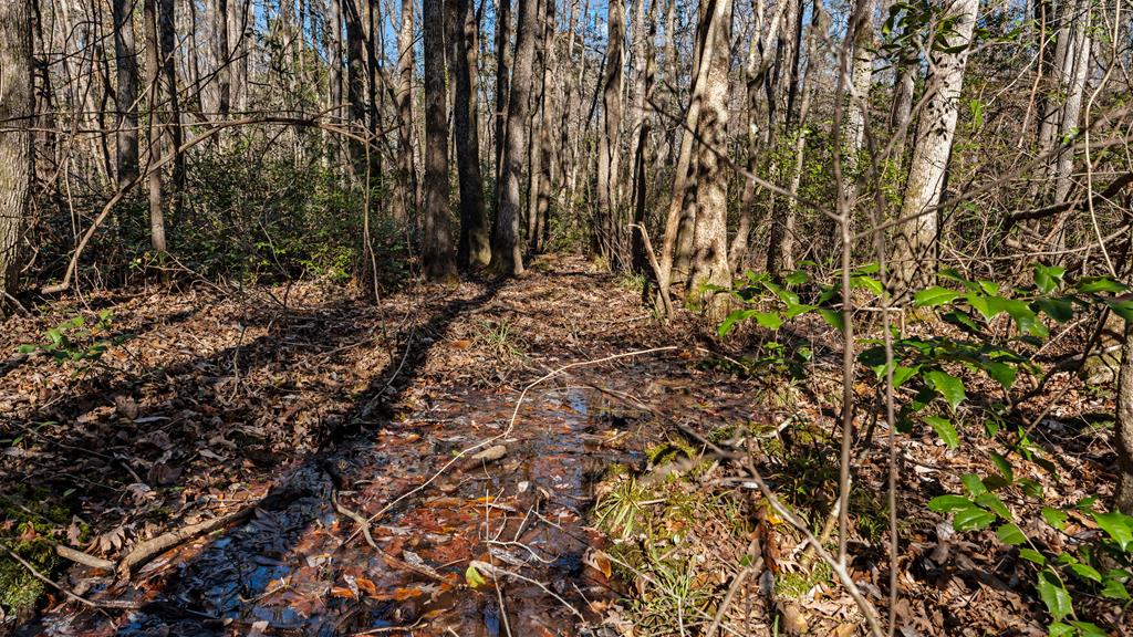 606 Herman Bell Road Mauk, GA 31058 - Photo 51 of 59 springs in wetlands area