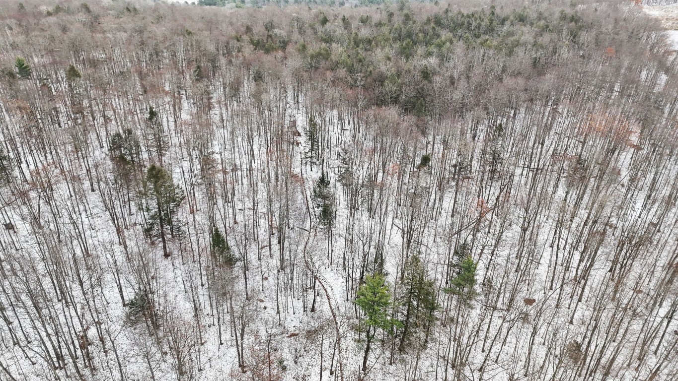 0 Lamb Road Newark Valley, NY 13811 - Photo 11 of 13