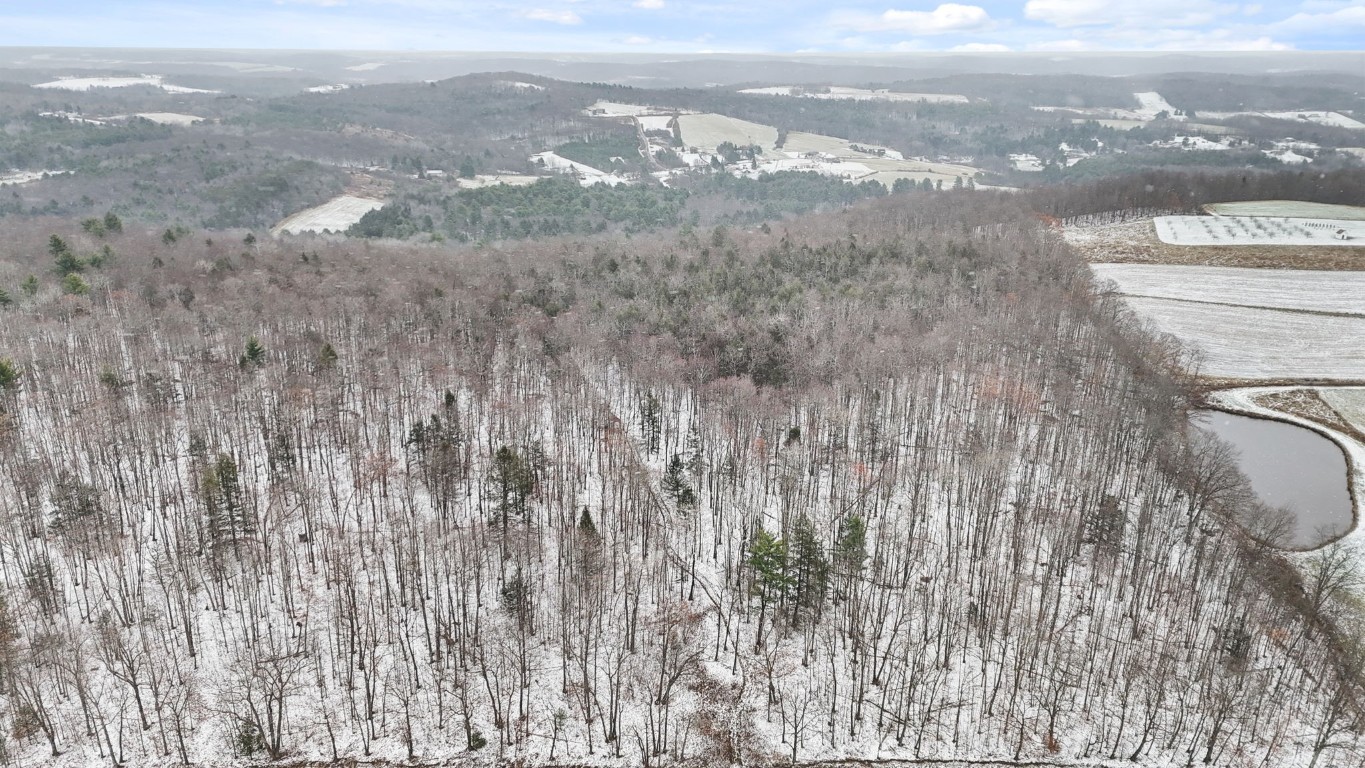 0 Lamb Road Newark Valley, NY 13811 - Photo 13 of 13