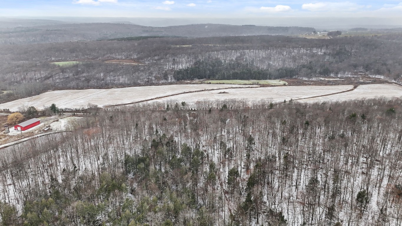 0 Lamb Road Newark Valley, NY 13811 - Photo 2 of 13