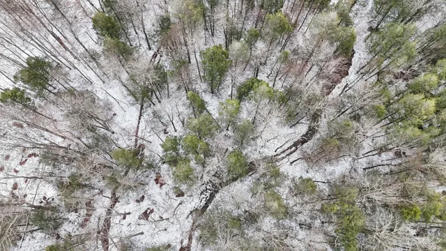 $85,000 | 0 Lamb Road, Newark Valley, NY 13811