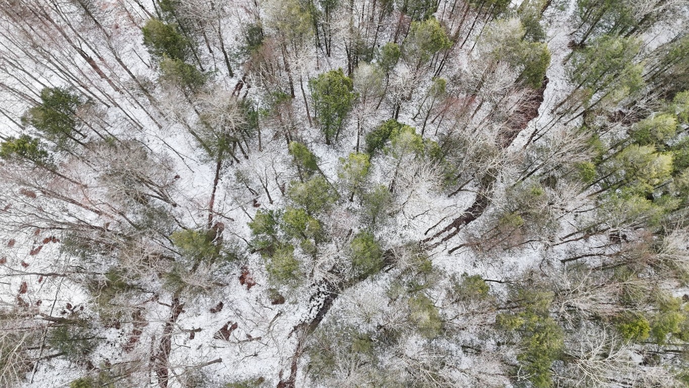 0 Lamb Road Newark Valley, NY 13811 - Photo 3 of 13