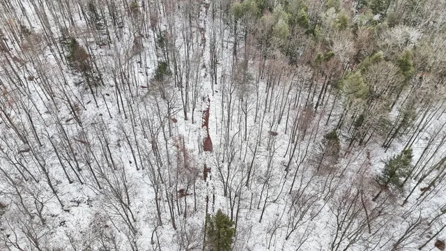 $85,000 | 0 Lamb Road, Newark Valley, NY 13811