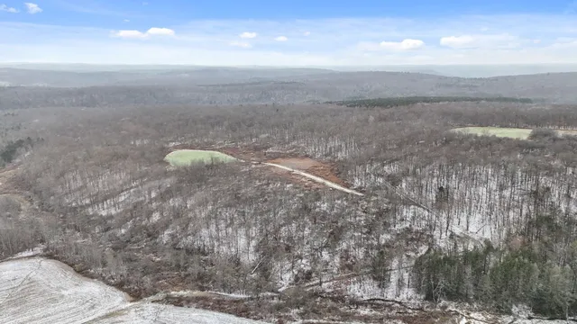 $85,000 | 0 Lamb Road, Newark Valley, NY 13811